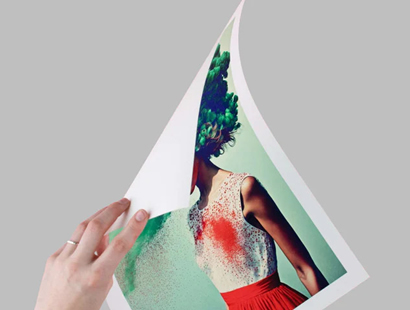Edição Fine Art
